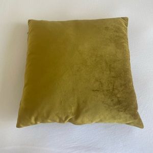 Velvet Throw pillow
